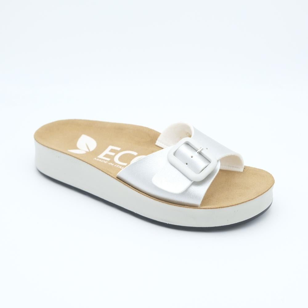 01431_7|56174429bea583b4796cac21e589ddd0